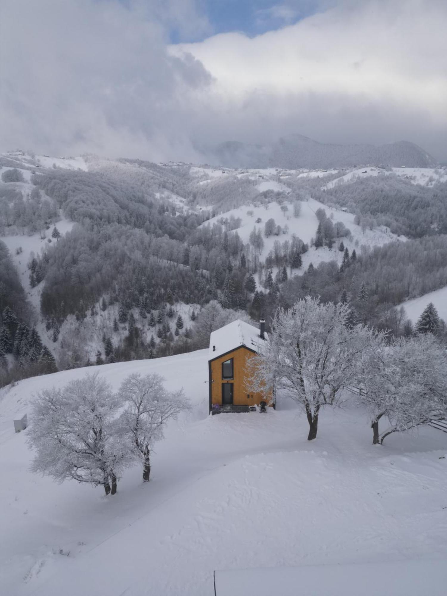 Amont Chalet Pestera  Exterior photo