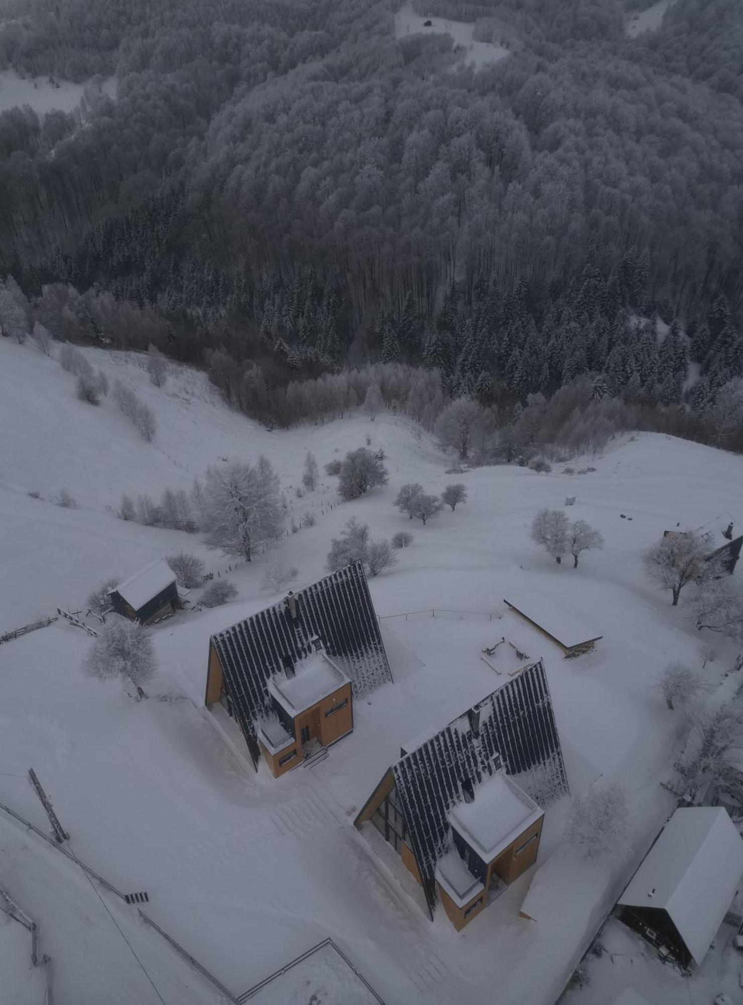 Amont Chalet Pestera  Exterior photo